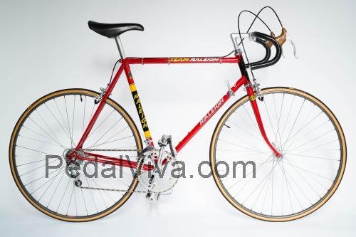 Raleigh Team ficha tecnica